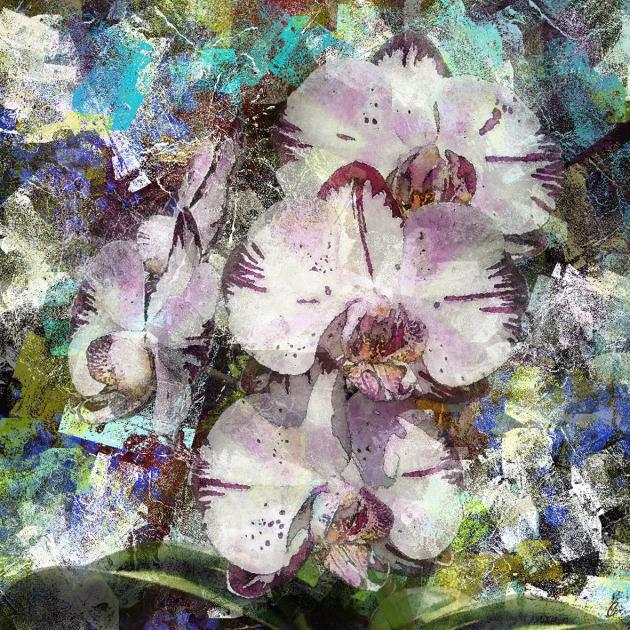 FLORAISON PICTURALE.jpg